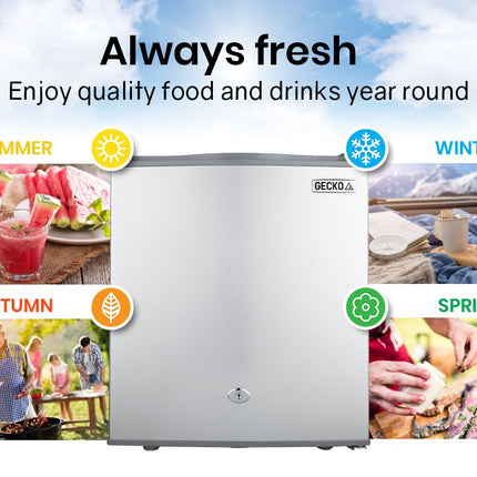 GECKO 57L Portable Camping Bar Fridge with Freezer 12V/24V, Silver