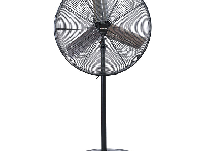BAUMR-AG 30" 762mm 300W Industrial Pedestal Fan, Large, Commercial, Heavy-duty, 3 Speed, EESS Certified