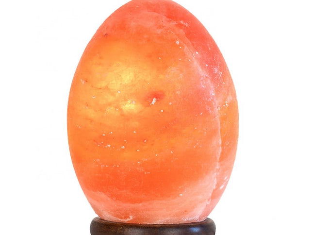 12V 12W Egg Himalayan Pink Salt Lamp Carved Rock Crystal Light Bulb On/Off Switch