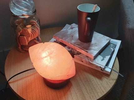 12V 12W Rugby Himalayan Pink Salt Lamp Carved Footy Rock Crystal Light Bulb On/Off