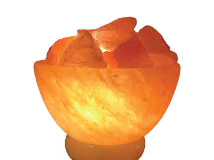 12V 12W Fire Bowl Himalayan Pink Salt Lamp Carved Rock Crystal Light Bulb On/Off