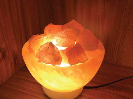 12V 12W Fire Bowl Himalayan Pink Salt Lamp Carved Rock Crystal Light Bulb On/Off