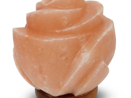12V 12W Rose Himalayan Pink Salt Lamp Carved Flower Rock Crystal Light Bulb On/Off