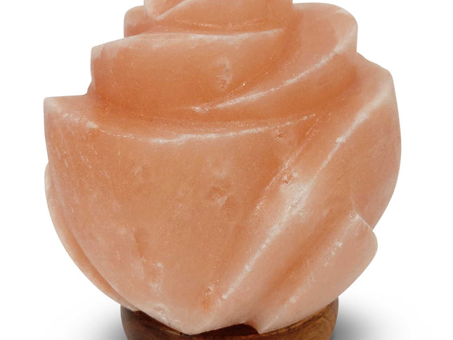 12V 12W Rose Himalayan Pink Salt Lamp Carved Flower Rock Crystal Light Bulb On/Off