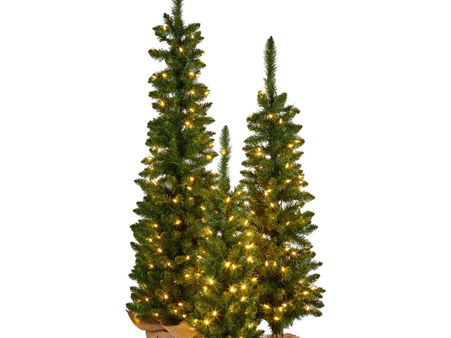 Christabelle Set of 3 Pre-Lit Christmas Trees Green Pine w/LED Lights, Hessian Base & Individual Plugs Varying Heights