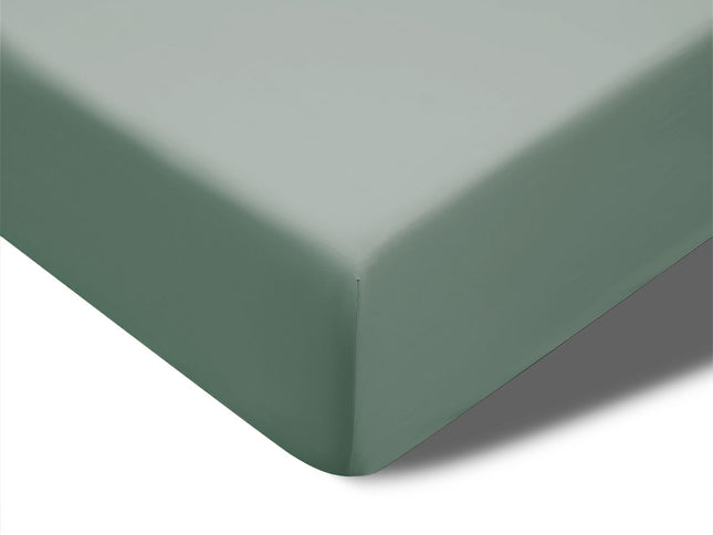 Accessorize 400TC Sage Bamboo Cotton Fitted Sheet 40cm Wall Double