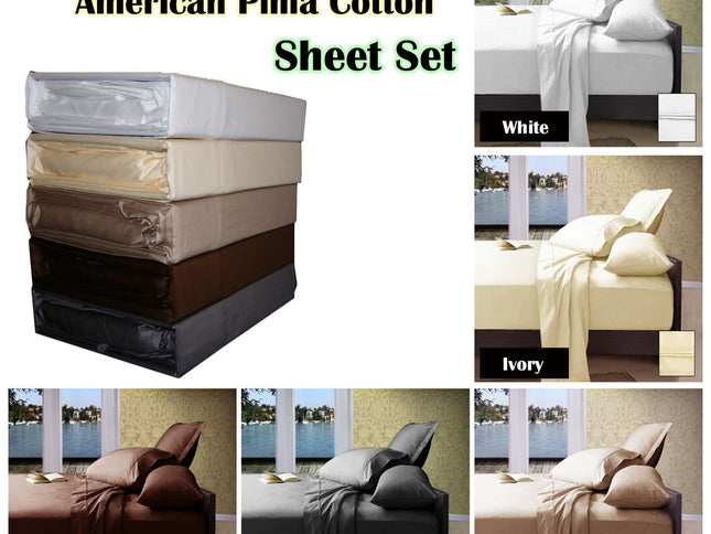 Ramesses 1000TC American Pima Cotton Plain Design Sheet Set Chocolate King