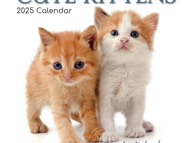 Cute Kittens - 2025 Square Wall Calendar Pets Animals 16 Months Premium Planner