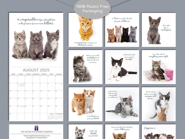 Cute Kittens - 2025 Square Wall Calendar Pets Animals 16 Months Premium Planner