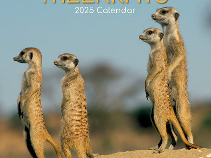 Meerkats - 2025 Square Wall Calendar Pets Animals 16 Months Premium Planner Gift