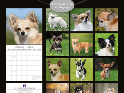 Chihuahuas 2025 Square Wall Calendar Dogs Pets Animals 16 Months Premium Planner