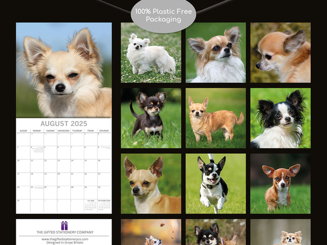 Chihuahuas 2025 Square Wall Calendar Dogs Pets Animals 16 Months Premium Planner