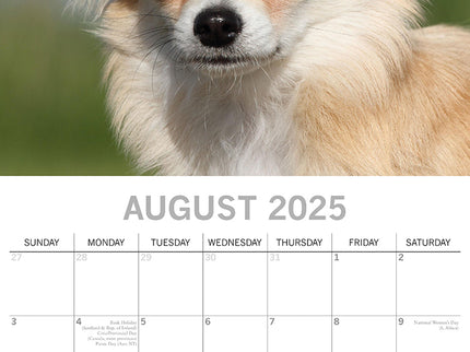 Chihuahuas 2025 Square Wall Calendar Dogs Pets Animals 16 Months Premium Planner