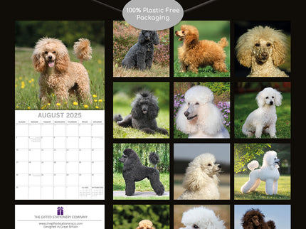 Poodles - 2025 Square Wall Calendar Dogs Pets Animals 16 Months Premium Planner