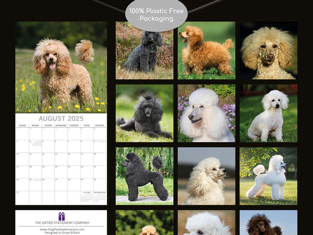 Poodles - 2025 Square Wall Calendar Dogs Pets Animals 16 Months Premium Planner