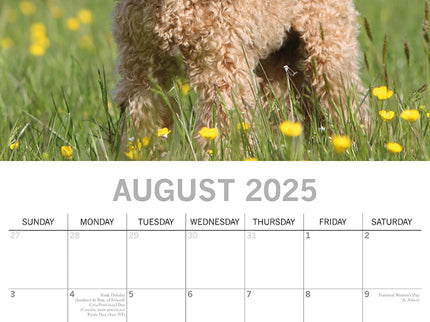 Poodles - 2025 Square Wall Calendar Dogs Pets Animals 16 Months Premium Planner