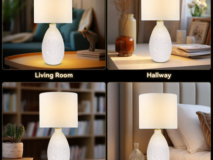 Hass Ceramic Table Lamp
