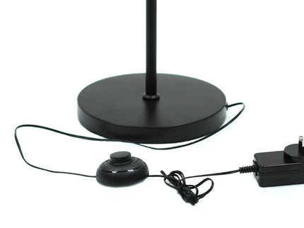 Cirrhi LED Floor Lamp - Black