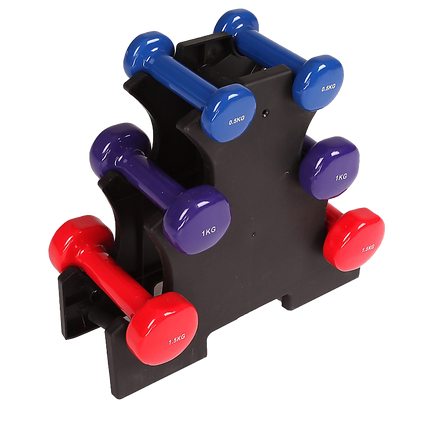 6-Piece Dumbbell Set with Storage Rack for Home Gym Training