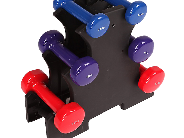 6-Piece Dumbbell Set with Storage Rack for Home Gym Training