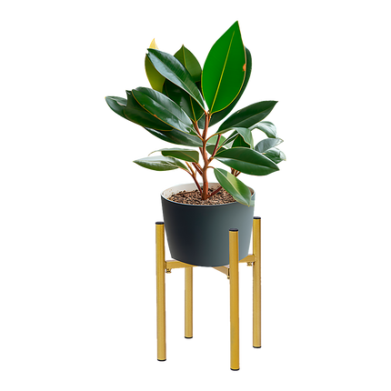 Metal Plant Stand Adjustable Indoor