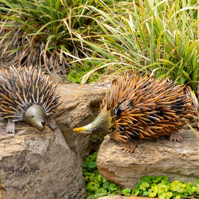 Rust Hedgehog Garden Ornament 36x22cm