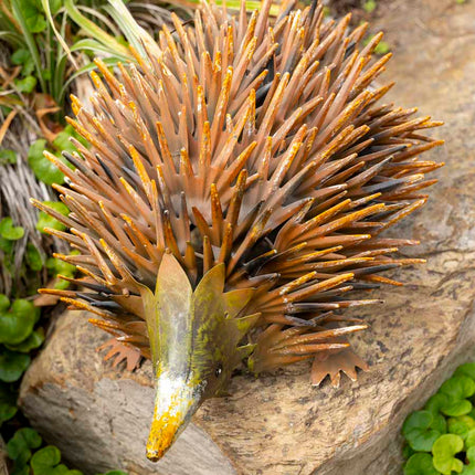 Rust Hedgehog Garden Ornament 36x22cm
