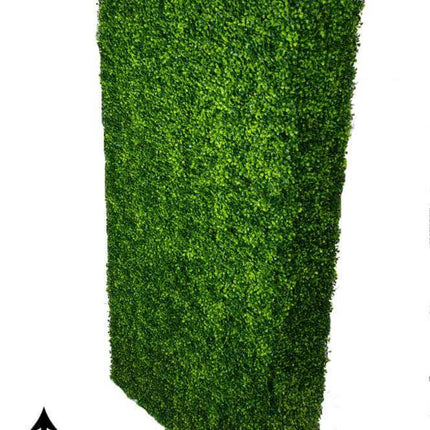 Large Portable Mixed Boxwood Hedge UV Resistant 100cm Long x 200cm High