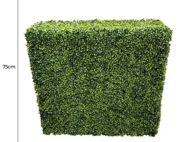 Mixed Boxwood Hedge UV Resistant 75cm Long x 75cm High