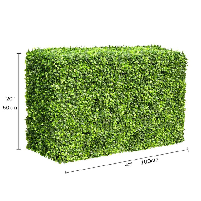 Mixed Boxwood Hedge UV Resistant 100cm Long x 50cm High
