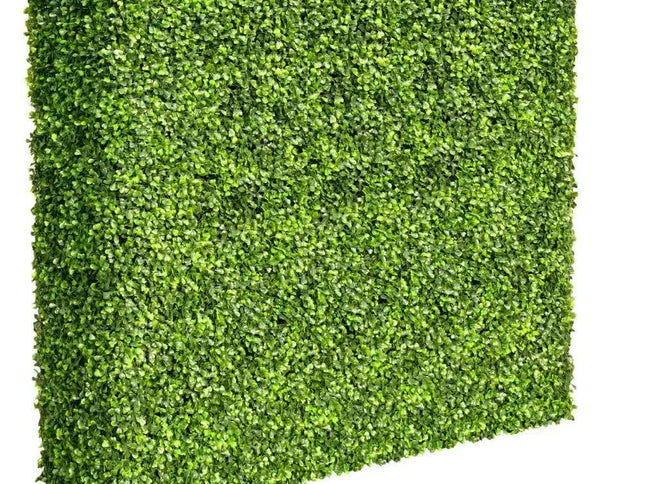 Large Portable Mixed Boxwood Hedge 1.5m by 1.5m UV Resistant