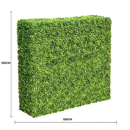 Large Portable Mixed Boxwood Hedge 1.5m by 1.5m UV Resistant