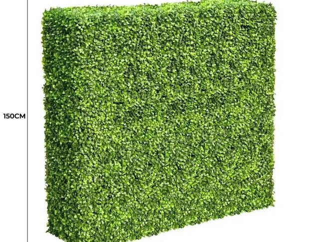 Large Portable Mixed Boxwood Hedge 1.5m by 1.5m UV Resistant
