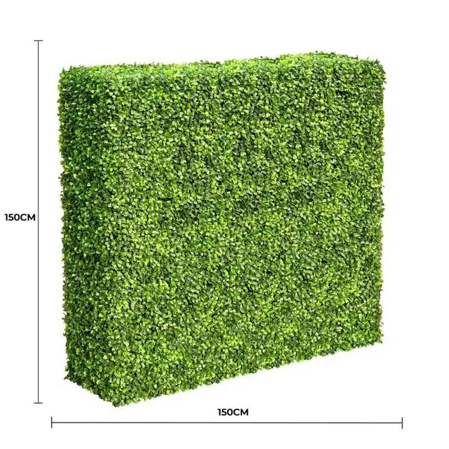 Large Portable Mixed Boxwood Hedge 1.5m by 1.5m UV Resistant