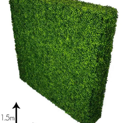 Large Portable Mixed Boxwood Hedge 1.5m by 1.5m UV Resistant