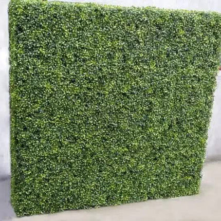 Large Portable Mixed Boxwood Hedge 1.5m by 1.5m UV Resistant