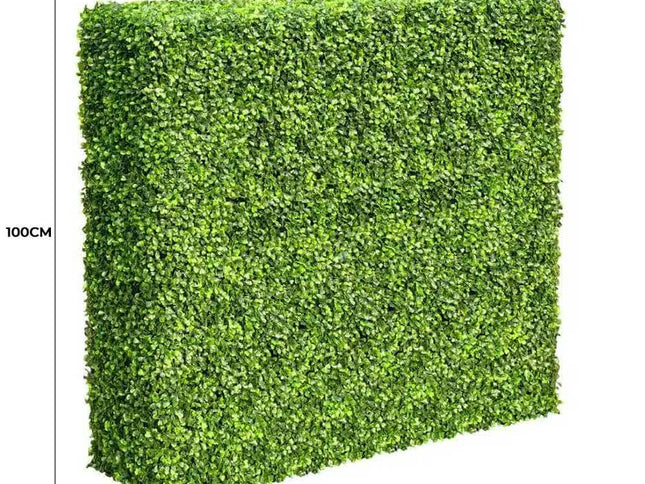 Mixed Boxwood Hedge UV Resistant 100cm Long x 100cm High