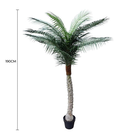 Tropical Phoenix Artificial Potted Palm Tree 190cm UV Resistant