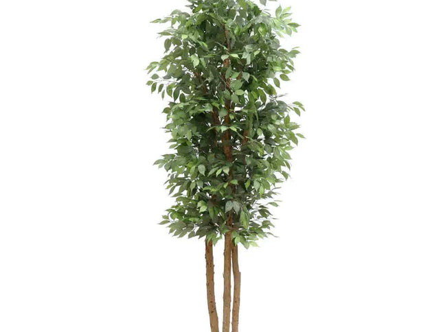 Large Custom Made Ficus Tree 250cm