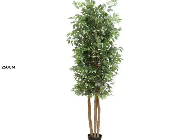 Large Custom Made Ficus Tree 250cm