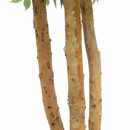 Large Custom Made Ficus Tree 250cm
