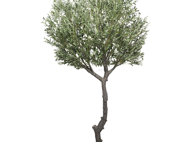 Nearly Natural Extra Large Olive Tree with Olives 285cm