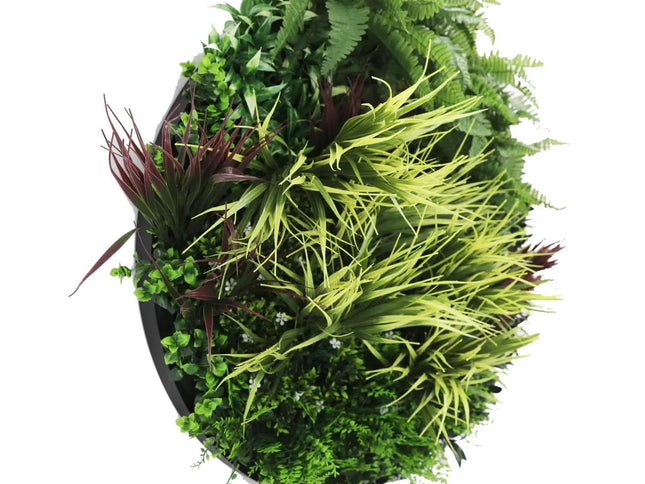 Slimline Artificial Green Wall Disc Art 80cm Grassy Fern UV Resistant (Black)