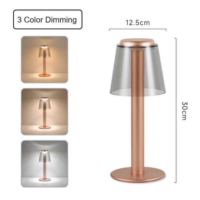 Gold Stylish Transparent Desk Lamp with Touch Control, LED, Type-C Charging ‚Äö√Ñ√∂‚àö√ë‚àö‚àÇ‚Äö√†√∂‚àö√´‚Äö√†√∂¬¨¬Æ Simple and Modern Design