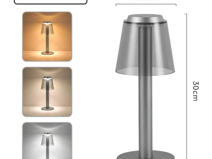 Silver Stylish Transparent Desk Lamp with Touch Control, LED, Type-C Charging - Simple and Modern Design