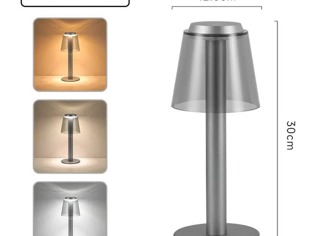 Silver Stylish Transparent Desk Lamp with Touch Control, LED, Type-C Charging - Simple and Modern Design