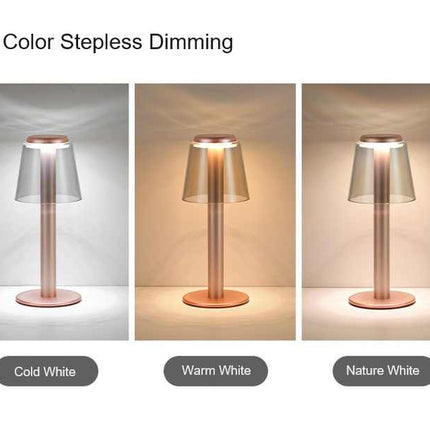 Silver Stylish Transparent Desk Lamp with Touch Control, LED, Type-C Charging - Simple and Modern Design