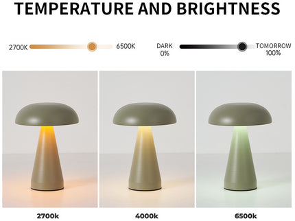 Black Metal Mushroom Table Lamp - Rechargeable Touch Control Ambient Light with Remote