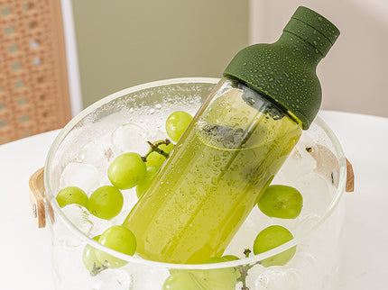 Style Cold Brew Bottle - 450ml Glass, Leak-Resistant Silicone Top Green Silicone Lid