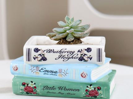Literary Book Vase - Creative Ceramic Planter & Desk Organizer(Stack of books)